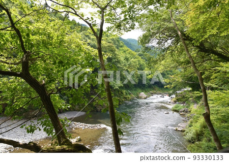 仲夏禦岳谷,東京 仲夏禦岳谷,東京 93330133