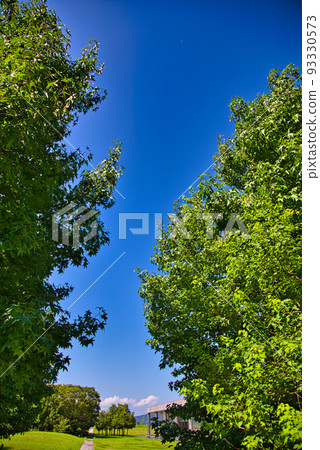 Prefectural Library - Summer/Walking Course 93330573