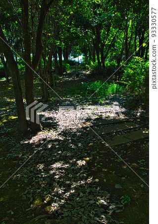Prefectural Library - Summer/Walking Course 93330577