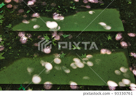 Prefectural Library - Summer/Walking Course 93330761
