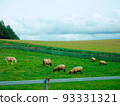 北海道牧場羊和小馬九月 93331321