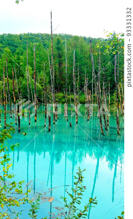 北海道藍塘九月 北海道藍塘九月 93331332