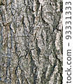 樹皮 93331333