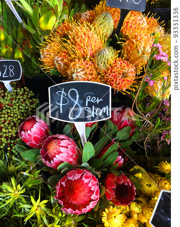 墨爾本花店 93331336