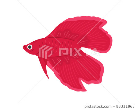 Illustration of a red betta 93331963