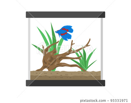 Illustration of a blue betta fish tank 93331971