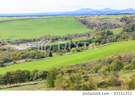 海陽台的好天氣“秋天的北海道” 海陽台的好天氣“秋天的北海道” 93332352