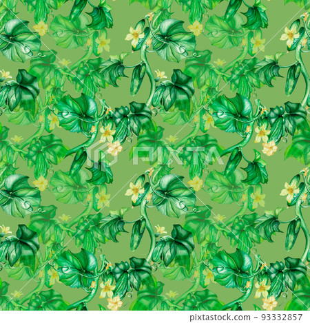 Seamless pattern of green cucumbers, vegetable watercolor illustration Seamless pattern of green cucumbers, vegetable watercolor illustration 93332857