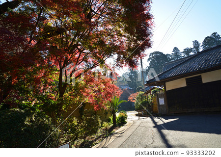 Kampukuji 2021-12-4 #3 Kampukuji 2021-12-4 #3 93333202