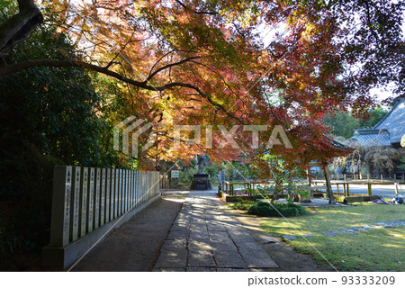 神福寺 2021-12-4 #9 93333209