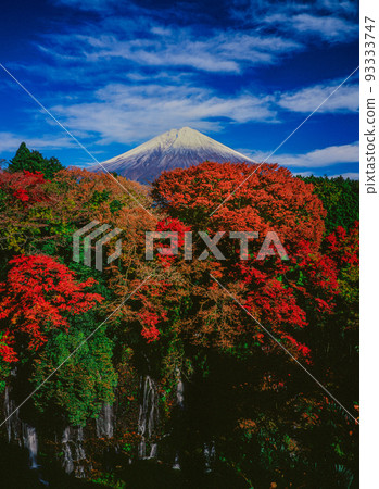 Autumnal leaves and Mt. Fuji from Shiraito Falls Autumnal leaves and Mt. Fuji from Shiraito Falls 93333747
