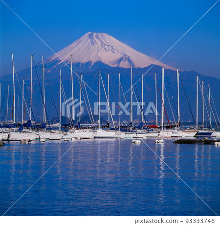 Mount Fuji and Yacht Harbor Mount Fuji and Yacht Harbor 93333748