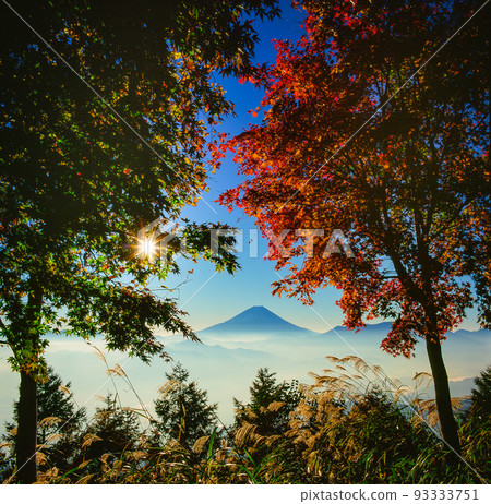 秋葉和富士山在燈光下 秋葉和富士山在燈光下 93333751