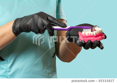 Dentist with toothbrush and layout of the human jaw. 93333927