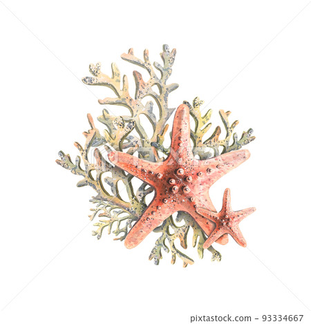 Starfish with corals, in restrained coral colors. Tropical marine composition. Watercolor illustration for the design of souvenirs, postcards, posters, banners, menus, labels, logos. 93334667