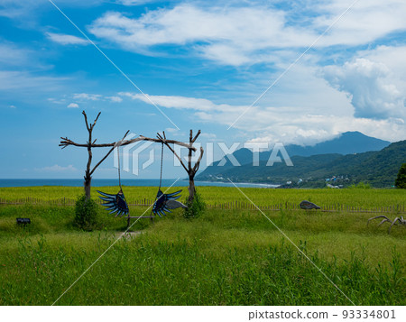 Lanscape of Xinshe rice terrace in Hualien, Taiwan. 93334801