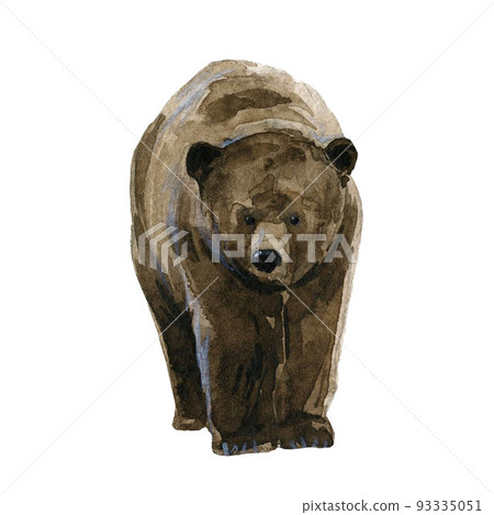 Beautiful stock illustration with hand drawn watercolor forest wild bear animal. Clip art image. Beautiful stock illustration with hand drawn watercolor forest wild bear animal. Clip art image. 93335051