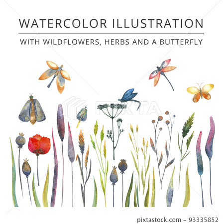 Watercolor illustration for text design with wildflowers, herbs and a butterfly for card, border, banner or your design 93335852