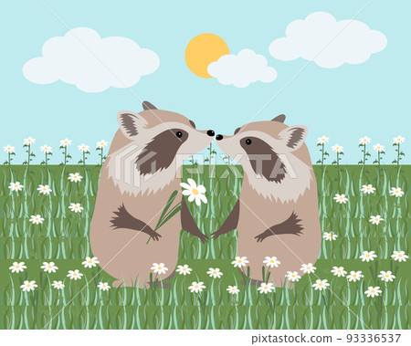 Cute raccoons in love in a meadow with daisies. Print for children, cartoon illustration, vector Cute raccoons in love in a meadow with daisies. Print for children, cartoon illustration, vector 93336537