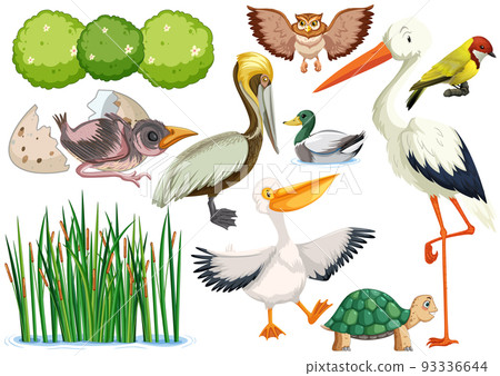 Different kinds of wild animals collection 93336644