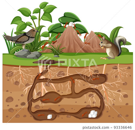 Underground animal hole in cartoon style Underground animal hole in cartoon style 93336646