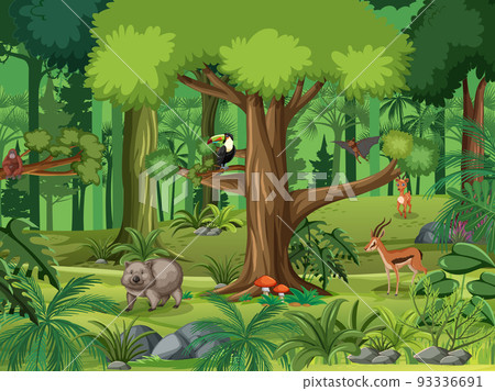 Forest scene with various wild animals 93336691