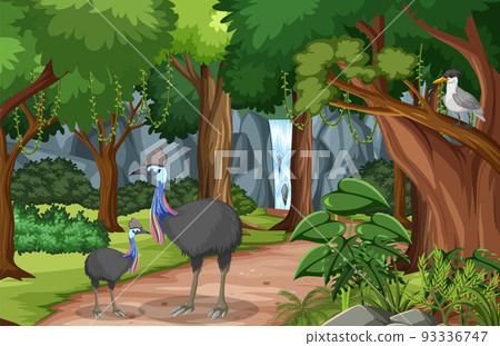 Forest scene with various wild animals Forest scene with various wild animals 93336747