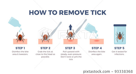 How to remove tick infographics banner, flat vector illustration on white background. How to remove tick infographics banner, flat vector illustration on white background. 93338368