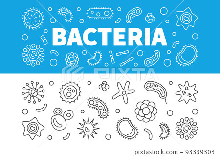 Bacteria horizontal banners set. Vector linear illustration Bacteria horizontal banners set. Vector linear illustration 93339303