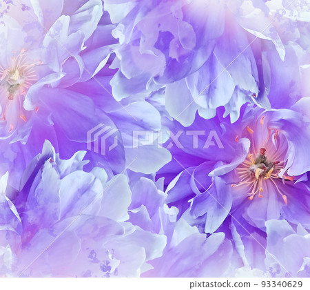 Watercolor purple tulips flowers. Floral  background. Closeup.  Nature. 93340629