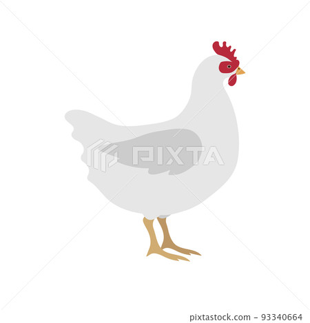 Vector hand drawn flat chicken hen 93340664