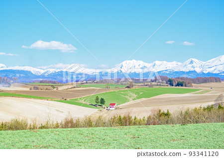 北海道美瑛的風景 93341120
