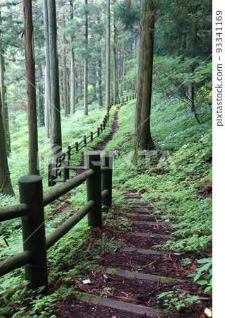 Dishigashi mountain path 93341169