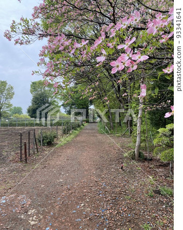 山茱萸和農場路 山茱萸和農場路 93341641