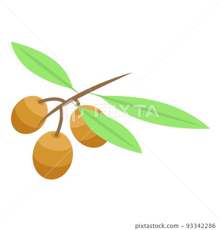 Gold olive branch icon, isometric style 93342286