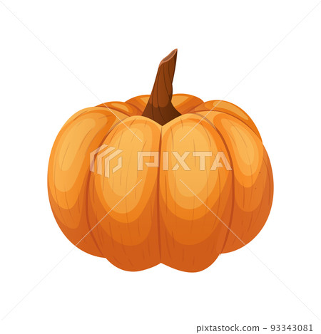 pumpkin orange cartoon vector illustration 93343081