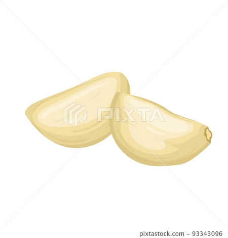 garlic cloves peeled cartoon vector illustration 93343096