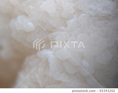 Yeast fungus that grows like waves on the surface of miso 93343202