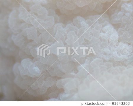 在味噌表面像波浪一樣生長的酵母菌 93343203