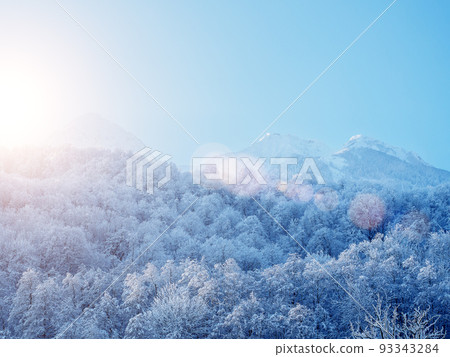 Snowy forest against the backdrop of sunny winter mountains. Snowy forest in sunny winter mountains. Forest at the ski resort Snowy forest against the backdrop of sunny winter mountains. Snowy forest in sunny winter mountains. Forest at the ski resort 93343284
