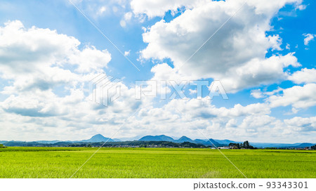 鋼塔水田輸電線路 93343301