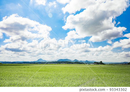 鋼塔水田輸電線路 93343302