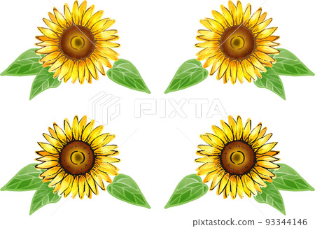 sunflower	 93344146