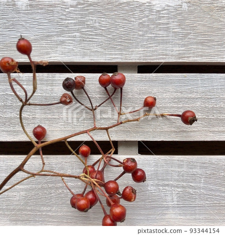 紅色水果 93344154