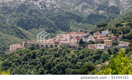 Panoramic view of Sant'ilario in Campo with its baroque-style Church of Sant'Ilario 93344181