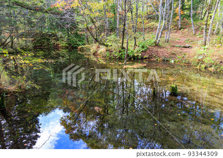 Sacred Kaminoko Pond "Autumn Hokkaido" 93344309
