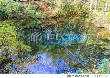 神聖的上之子池塘“秋天的北海道” 93344357