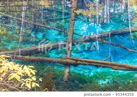 神聖的上之子池塘“秋天的北海道” 神聖的上之子池塘“秋天的北海道” 93344358