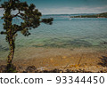Adriatic sea, Slovenia, coastline with pine trees and sea 93344450