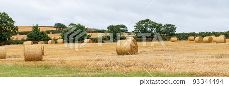 Hay rolls in the field Hay rolls in the field 93344494